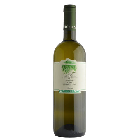 Verdicchio "Di Gino" 2022 Magnum 1,5 lt. - Fattoria San Lorenzo